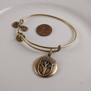 Alex and Ani Rafaelian Gold Acorn Nut Bracelet